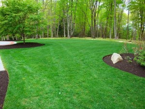lawn care pics